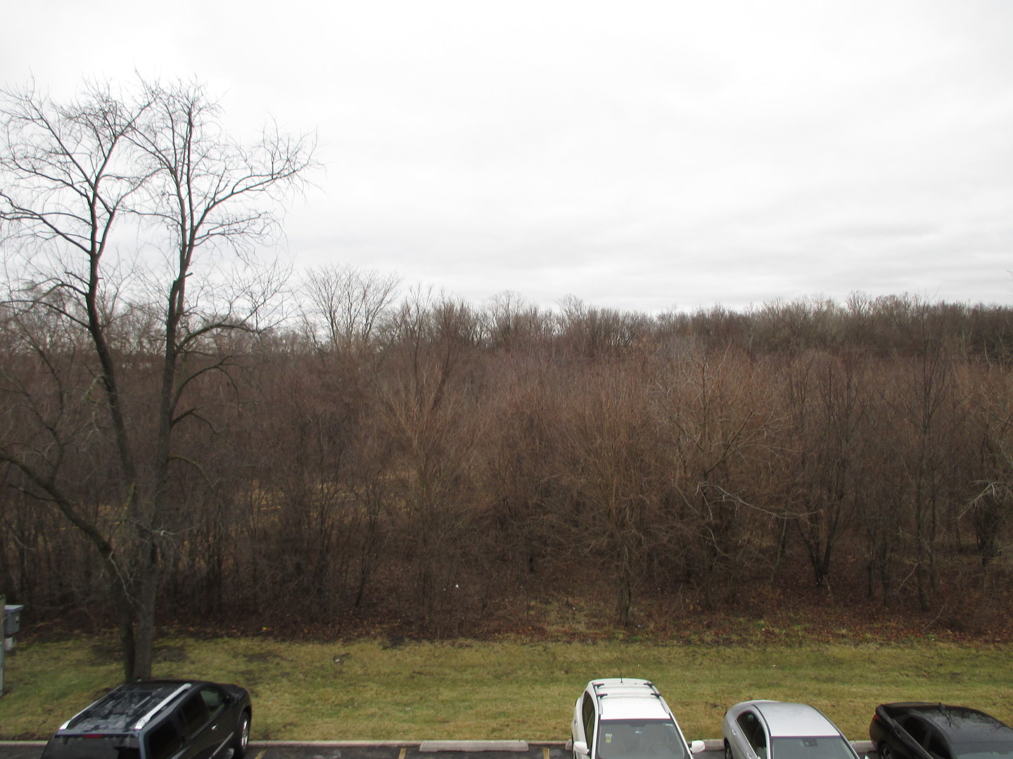 4010 150th Street #10, Midlothian, IL 60445