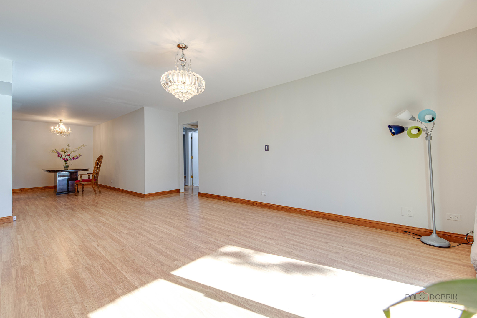 9 Oak Creek Drive #1903, Buffalo Grove, IL 60089