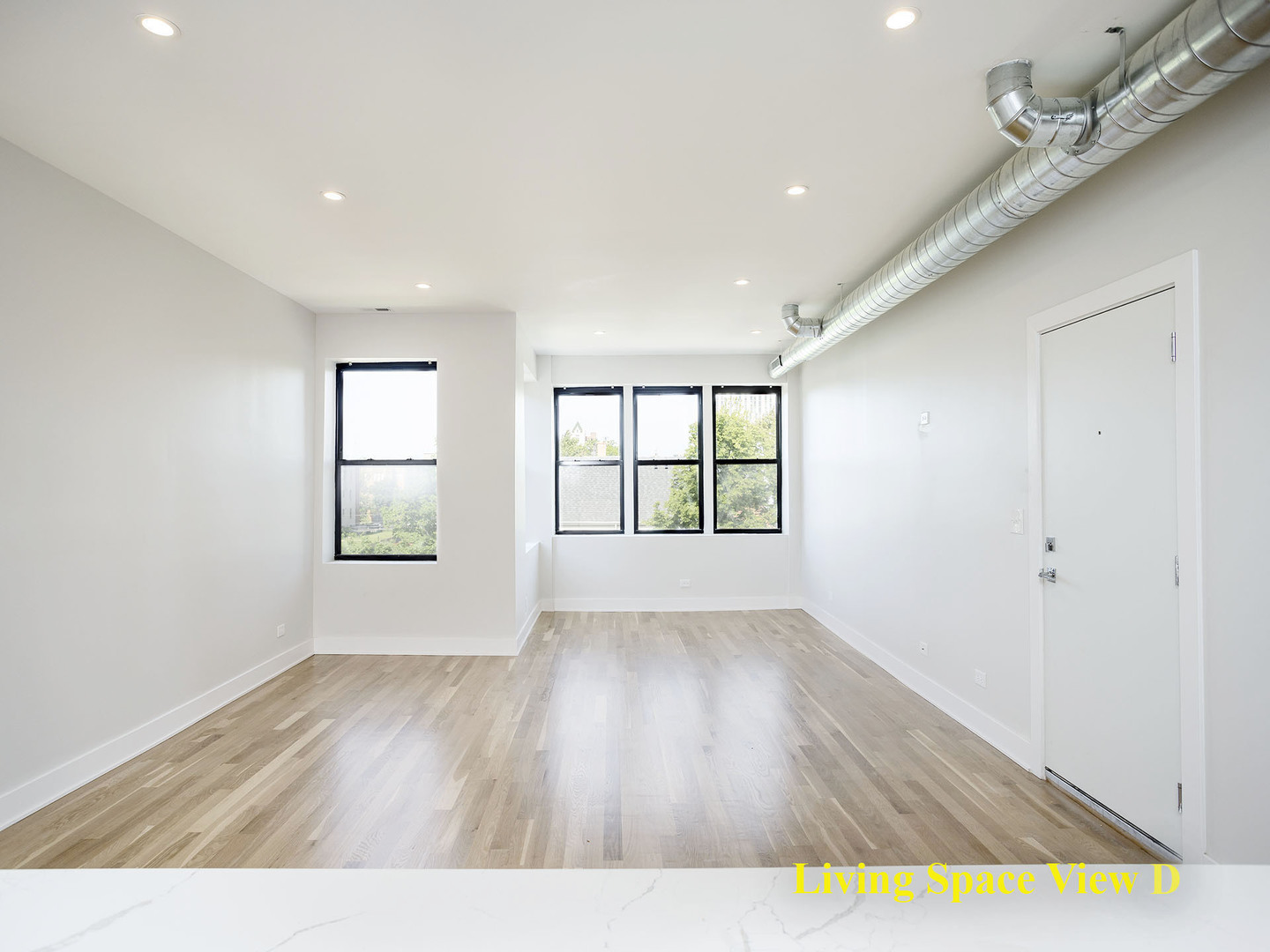 6103 S Kenwood Street #3S, Chicago, IL 60637