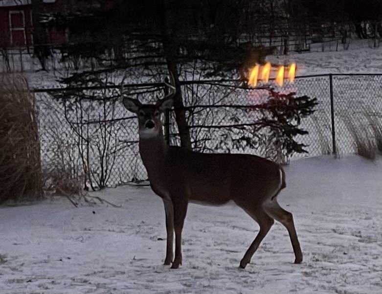 17140 Central Avenue, Tinley Park, IL 60477