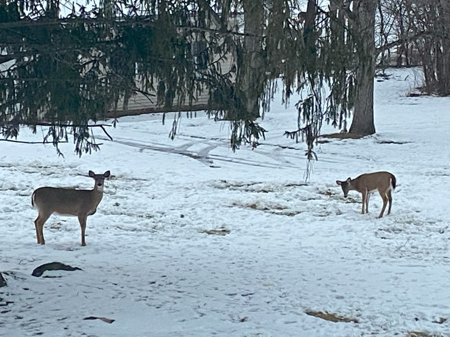 17140 Central Avenue, Tinley Park, IL 60477