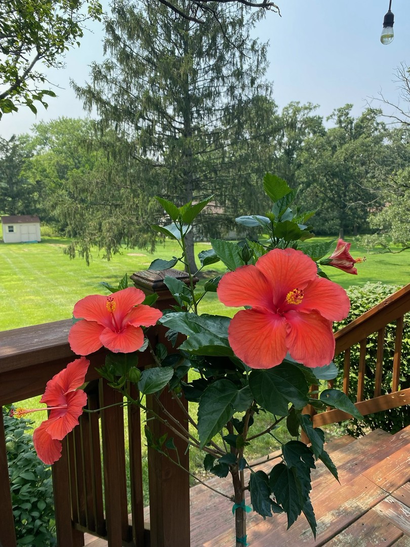 17140 Central Avenue, Tinley Park, IL 60477