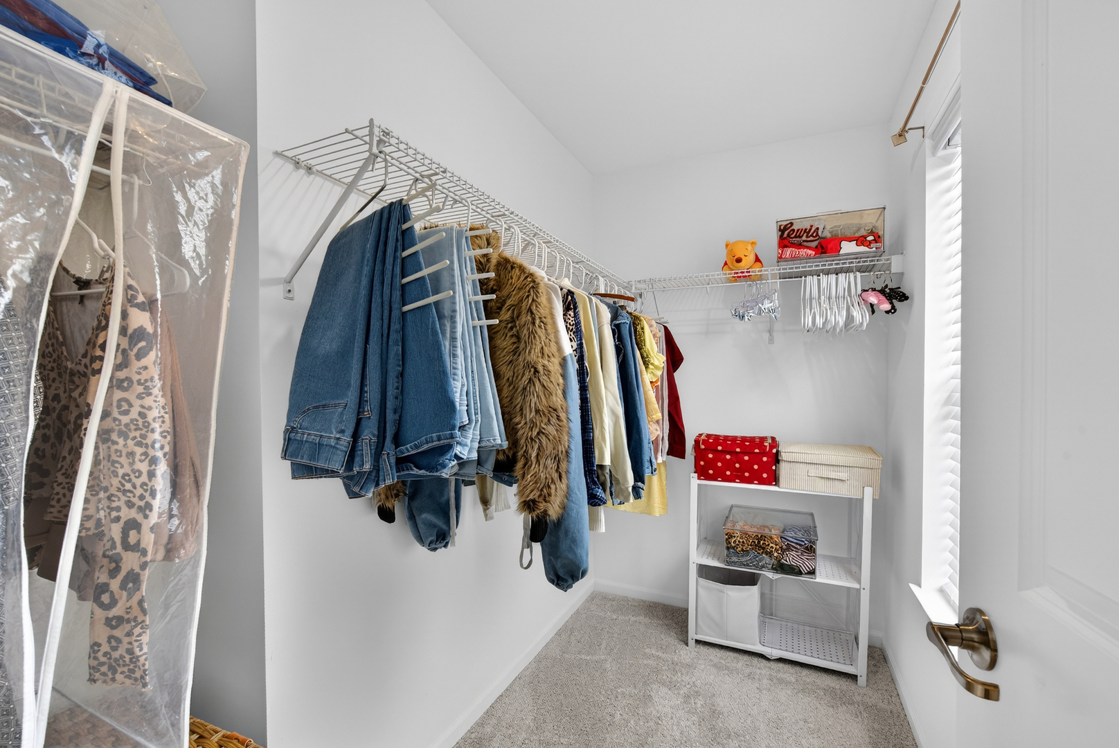 25631 W Wakefield Drive, Plainfield, IL 60544