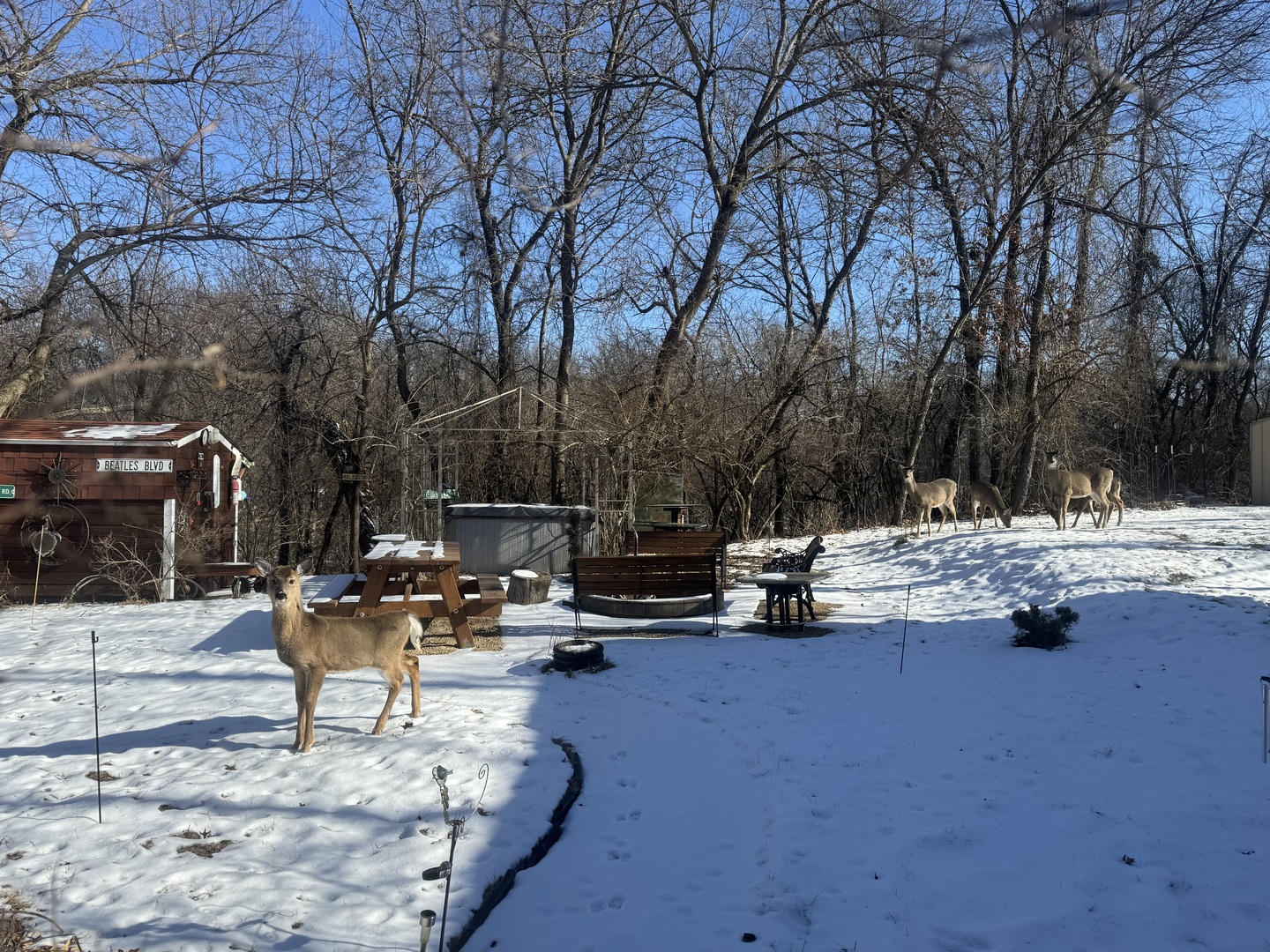 21-79 Woodhaven Lake, Sublette, IL 61367