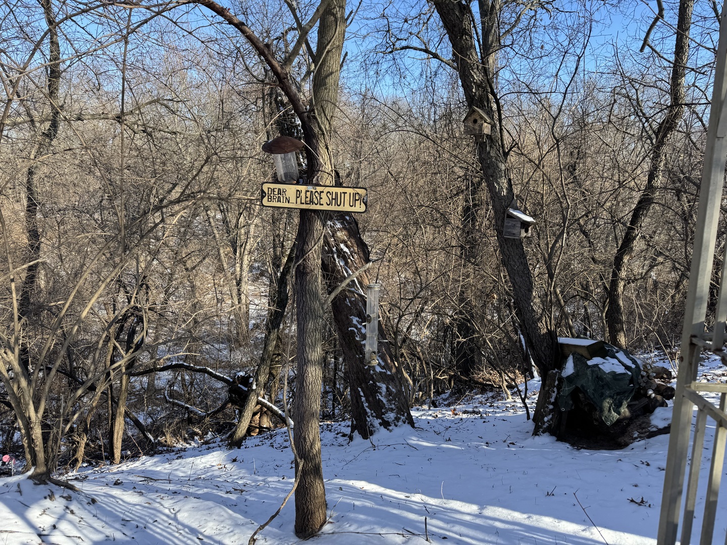 21-79 Woodhaven Lake, Sublette, IL 61367