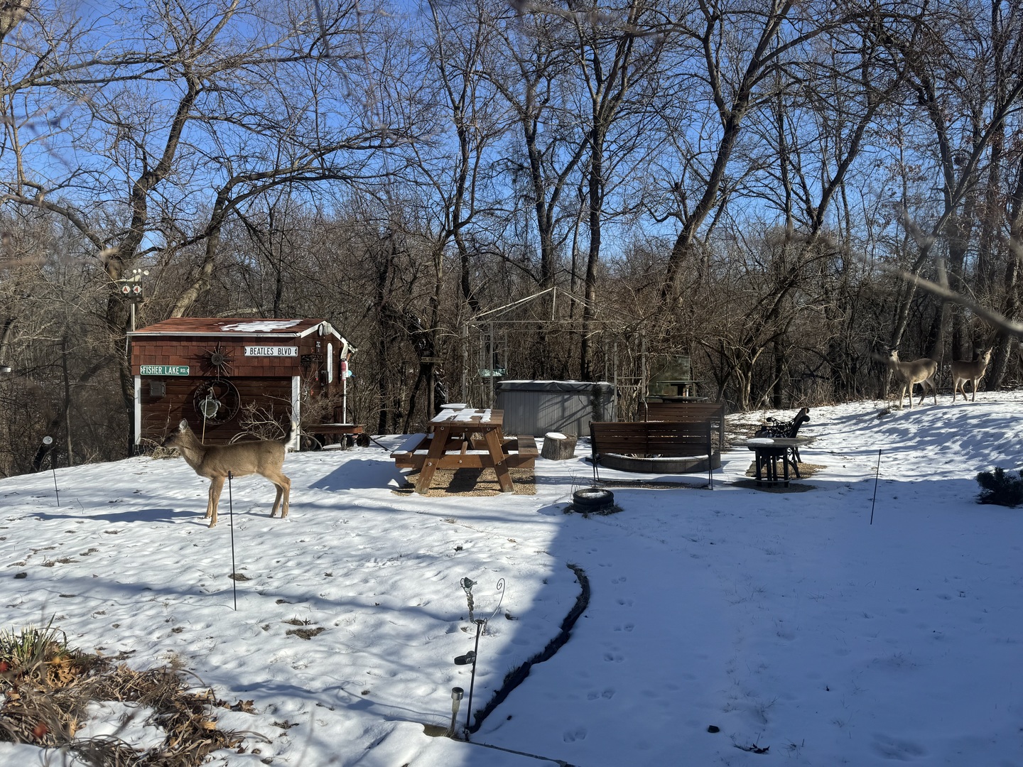 21-79 Woodhaven Lake, Sublette, IL 61367