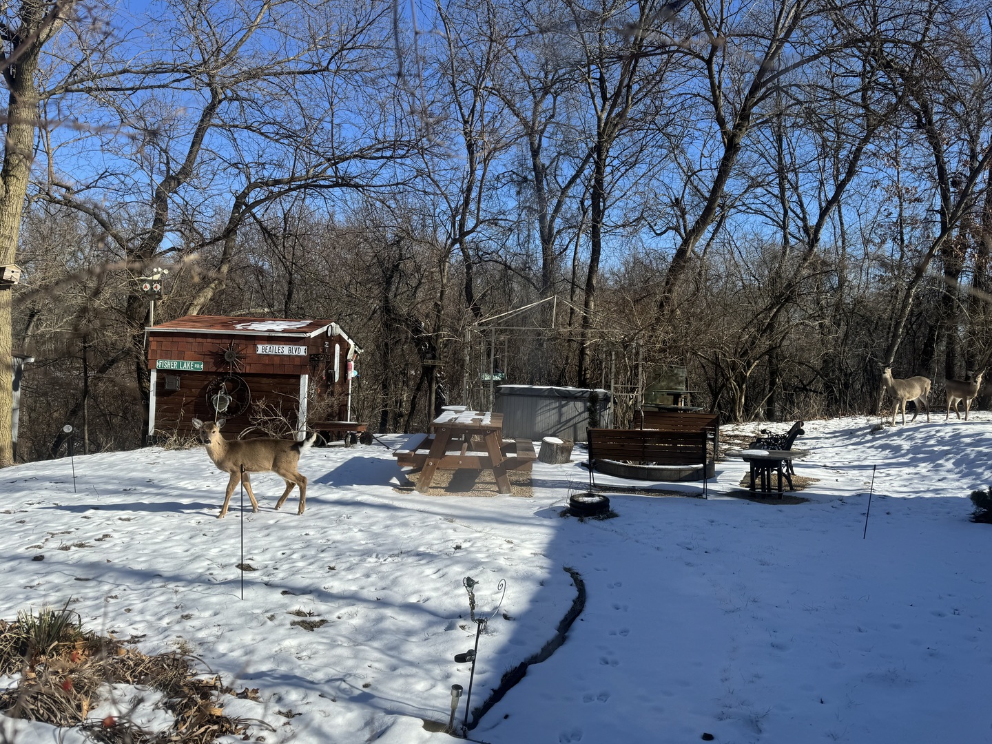 21-79 Woodhaven Lake, Sublette, IL 61367