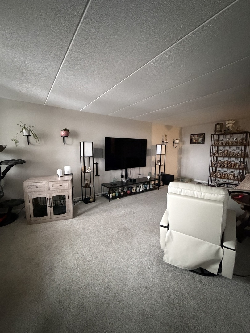 225 S Rohlwing Road #418, Palatine, IL 60074