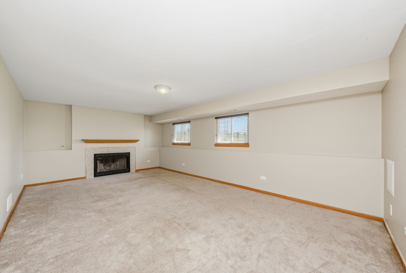 25531 S Mallard Drive, Channahon, IL 60410