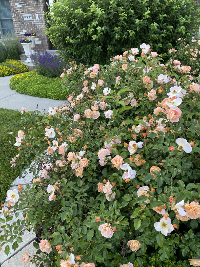 40W378 Francis Bret Harte Street, St. Charles, IL 60175