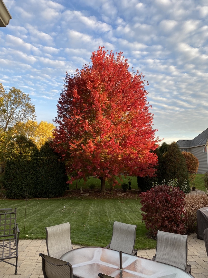 40W378 Francis Bret Harte Street, St. Charles, IL 60175