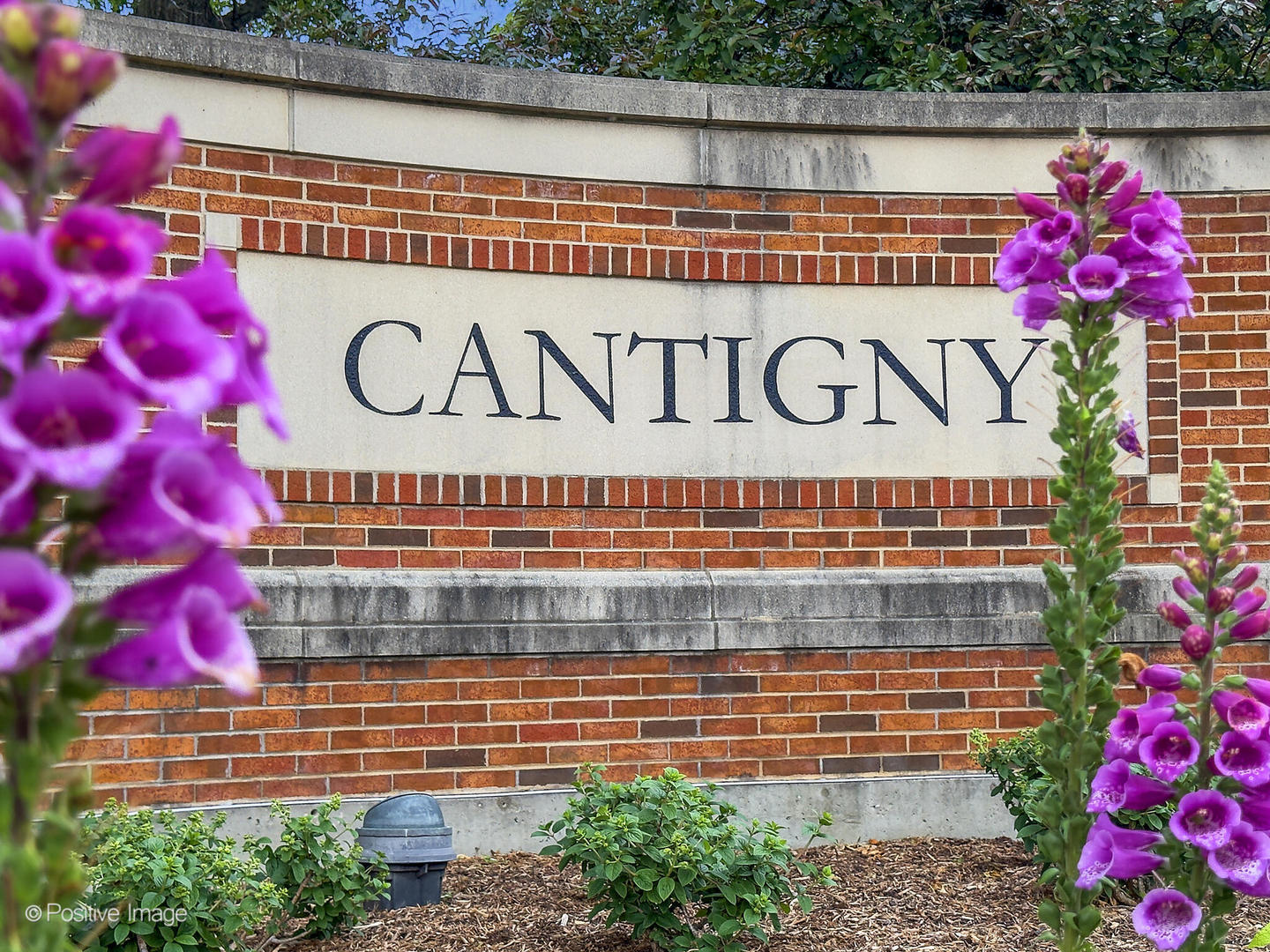 2043 Spring Green Drive, Wheaton, IL 60189