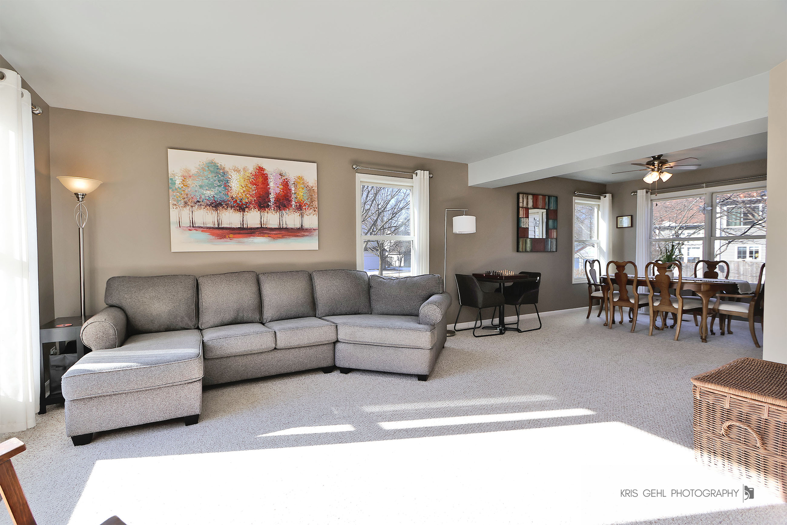 307 Fairfax Lane, Grayslake, IL 60030