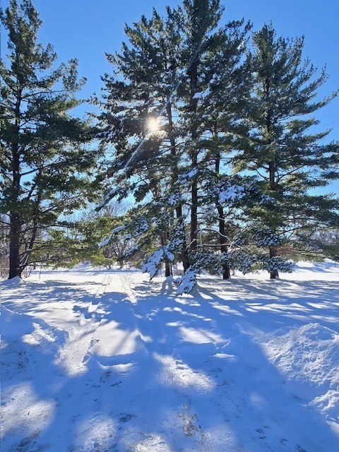 19066 Woodland Trail, Bloomington, IL 61705