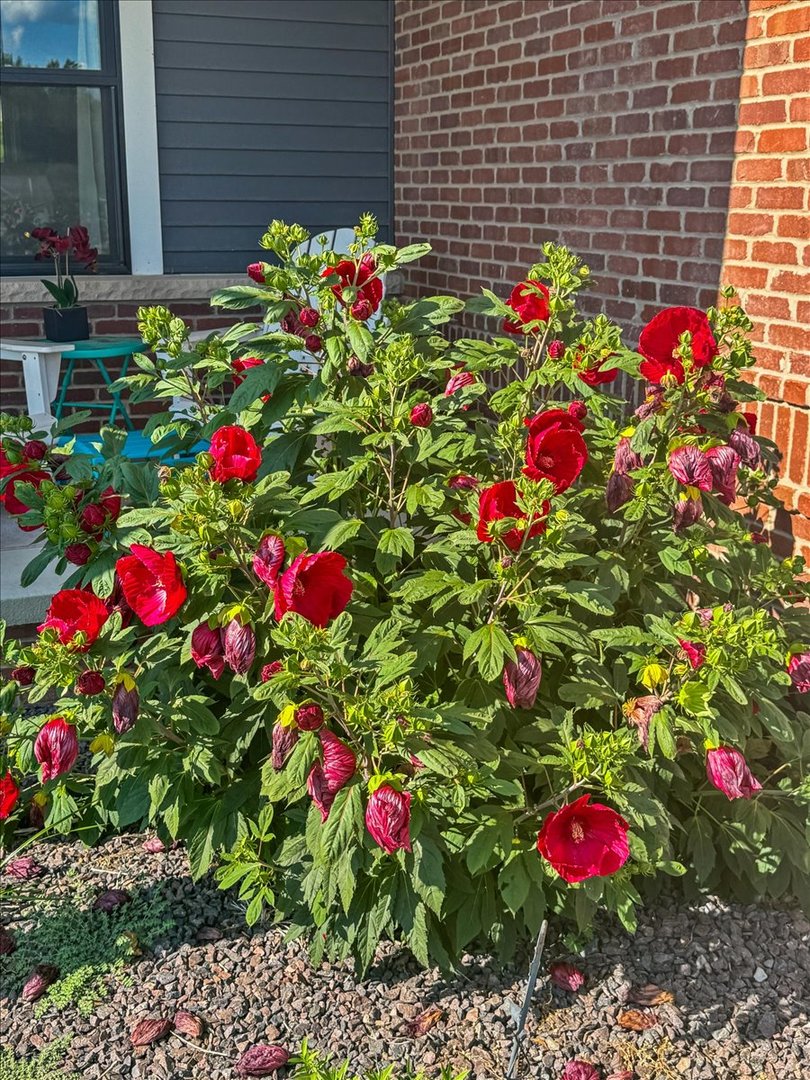 500 Raef Road, Downs, IL 61736