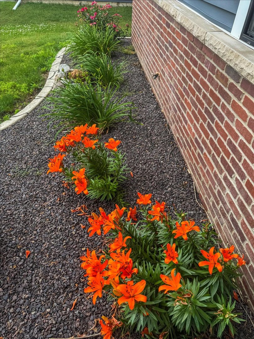 500 Raef Road, Downs, IL 61736