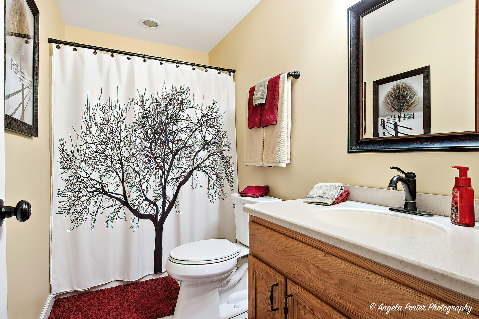 3428 KINGS LAIR Drive, Spring Grove, IL 60081