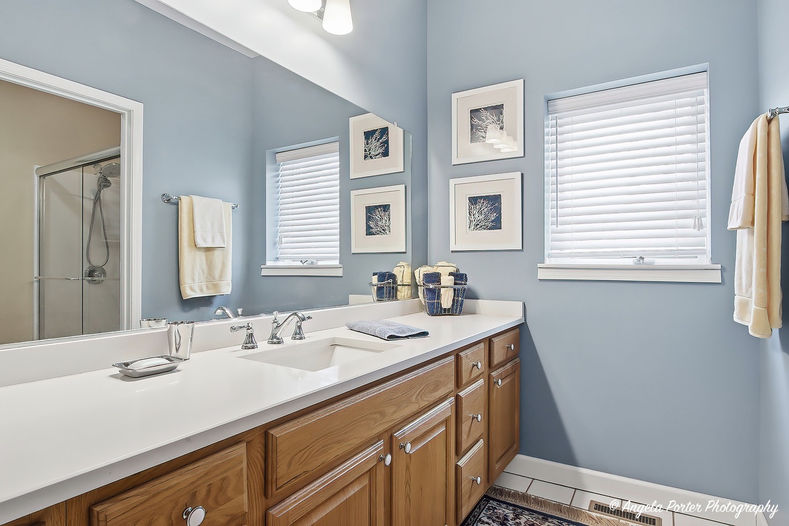 3428 KINGS LAIR Drive, Spring Grove, IL 60081