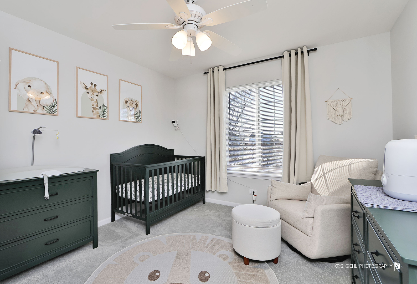 451 W Waterbury Drive, Round Lake, IL 60073