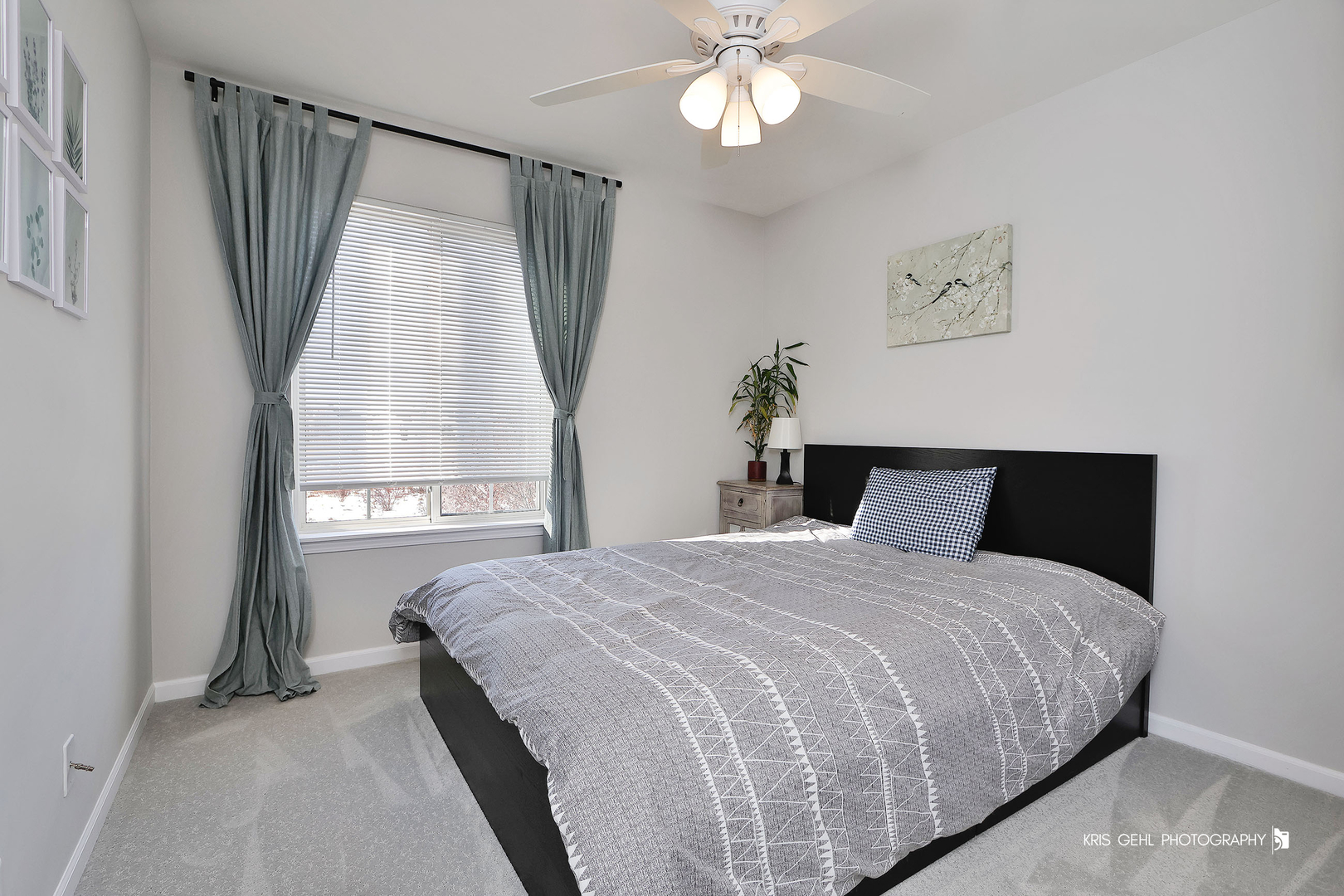 451 W Waterbury Drive, Round Lake, IL 60073