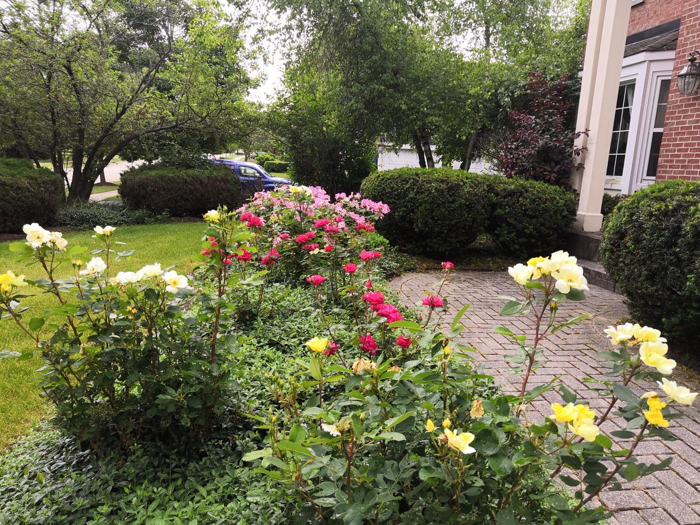 1163 OMalley Drive, Lake Zurich, IL 60047