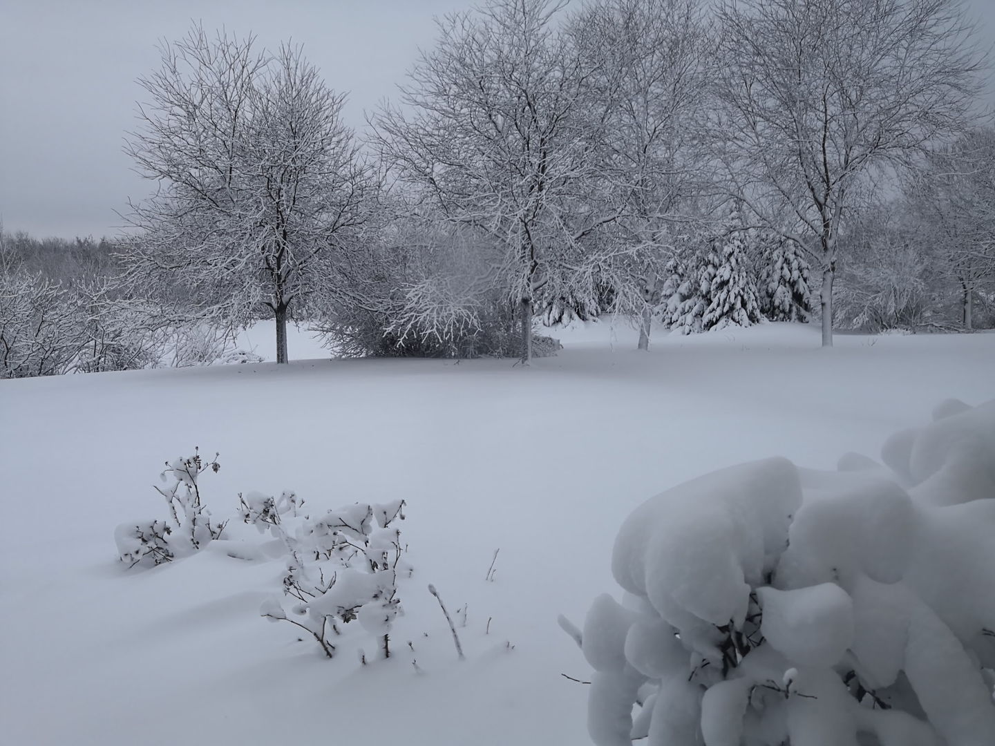 1163 OMalley Drive, Lake Zurich, IL 60047