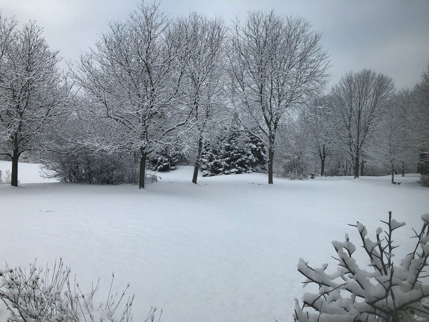 1163 OMalley Drive, Lake Zurich, IL 60047