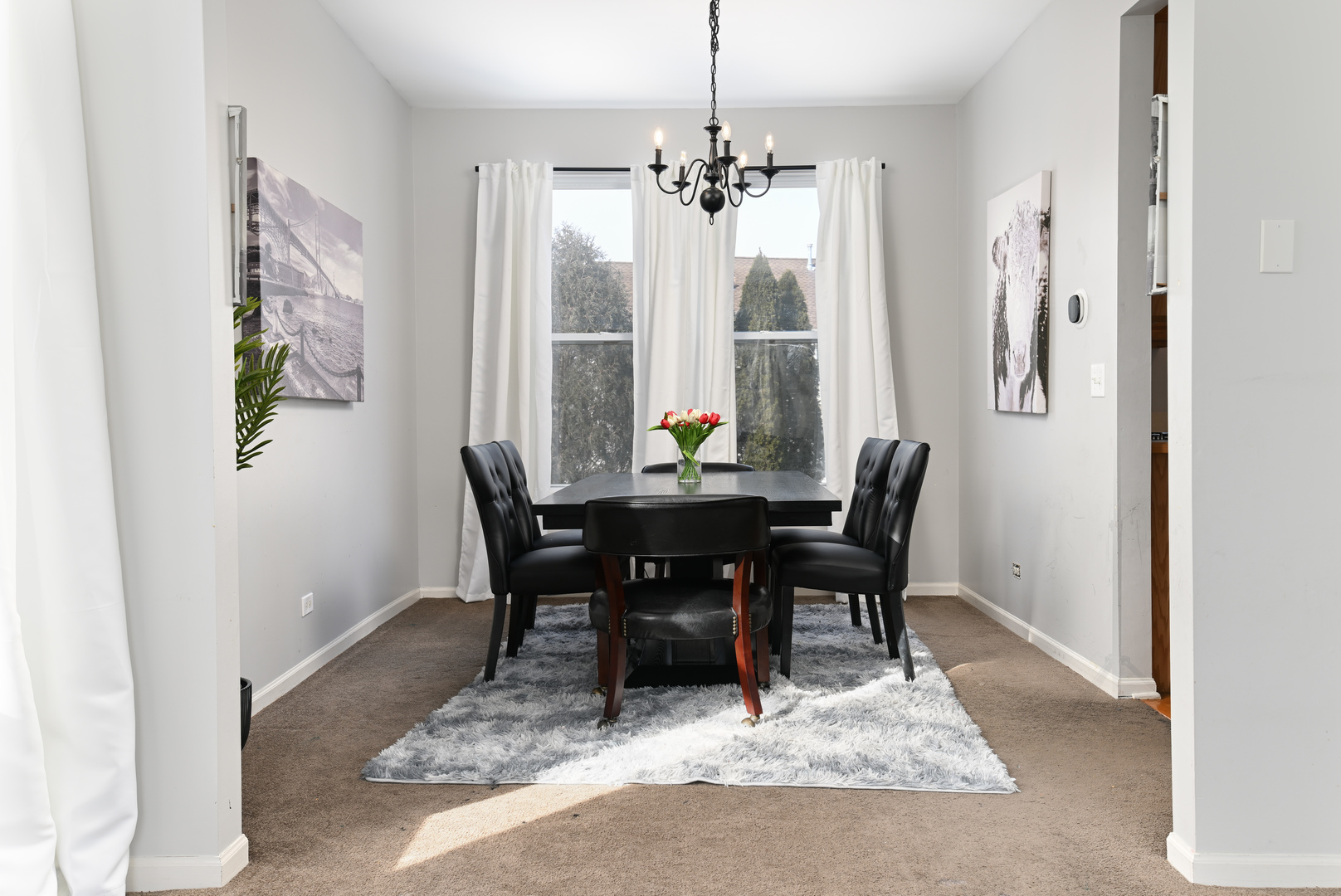 24050 W Champion Drive, Plainfield, IL 60585