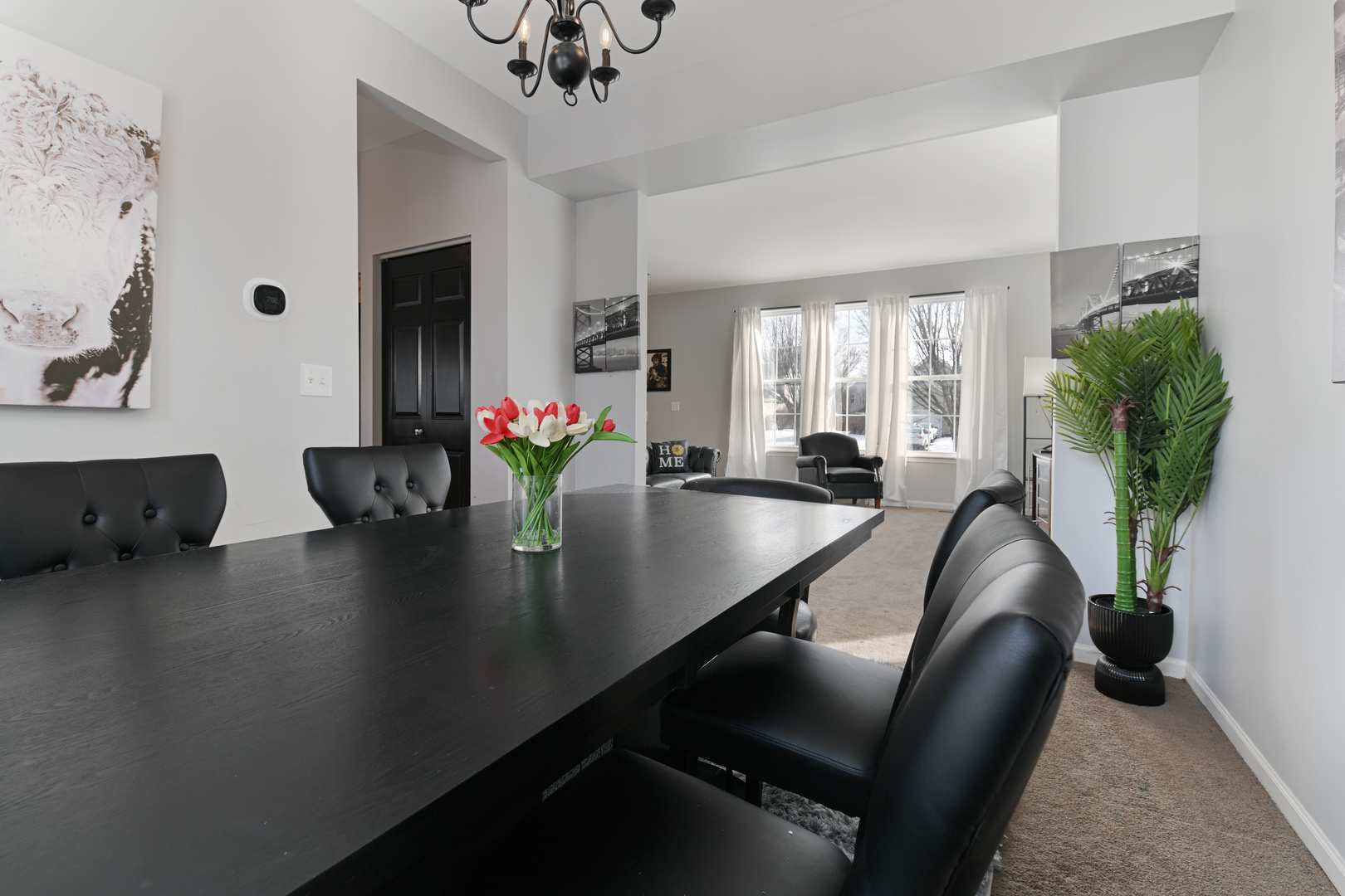 24050 W Champion Drive, Plainfield, IL 60585