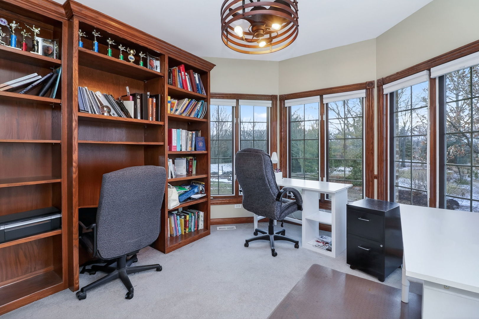 5500 Half Hollow Court, Oswego, IL 60543