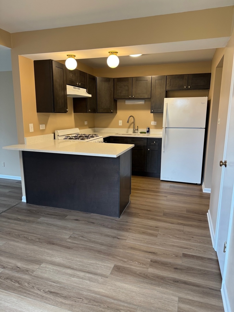 9731 90th Avenue #1S, Palos Hills, IL 60465