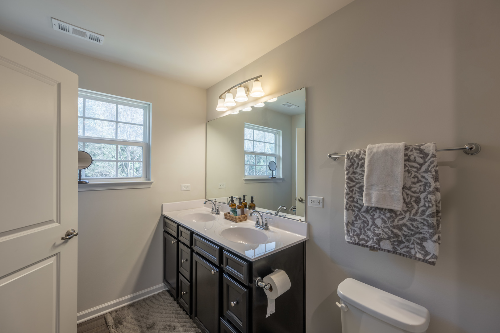 3363 Helene Rieder Drive, Montgomery, IL 60538