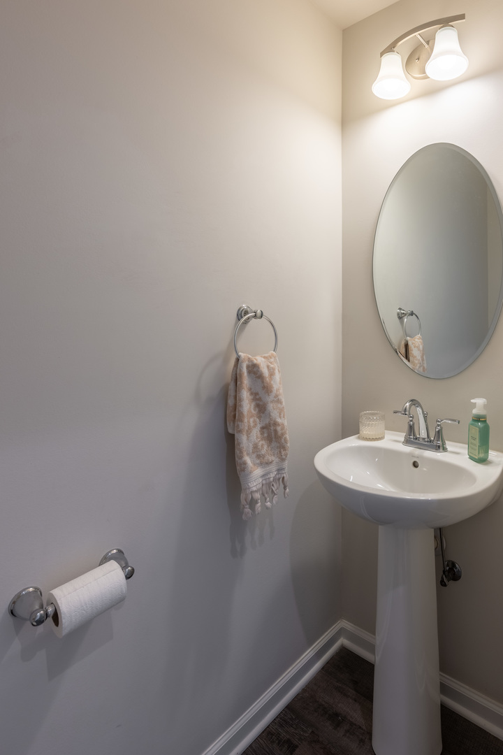 3363 Helene Rieder Drive, Montgomery, IL 60538