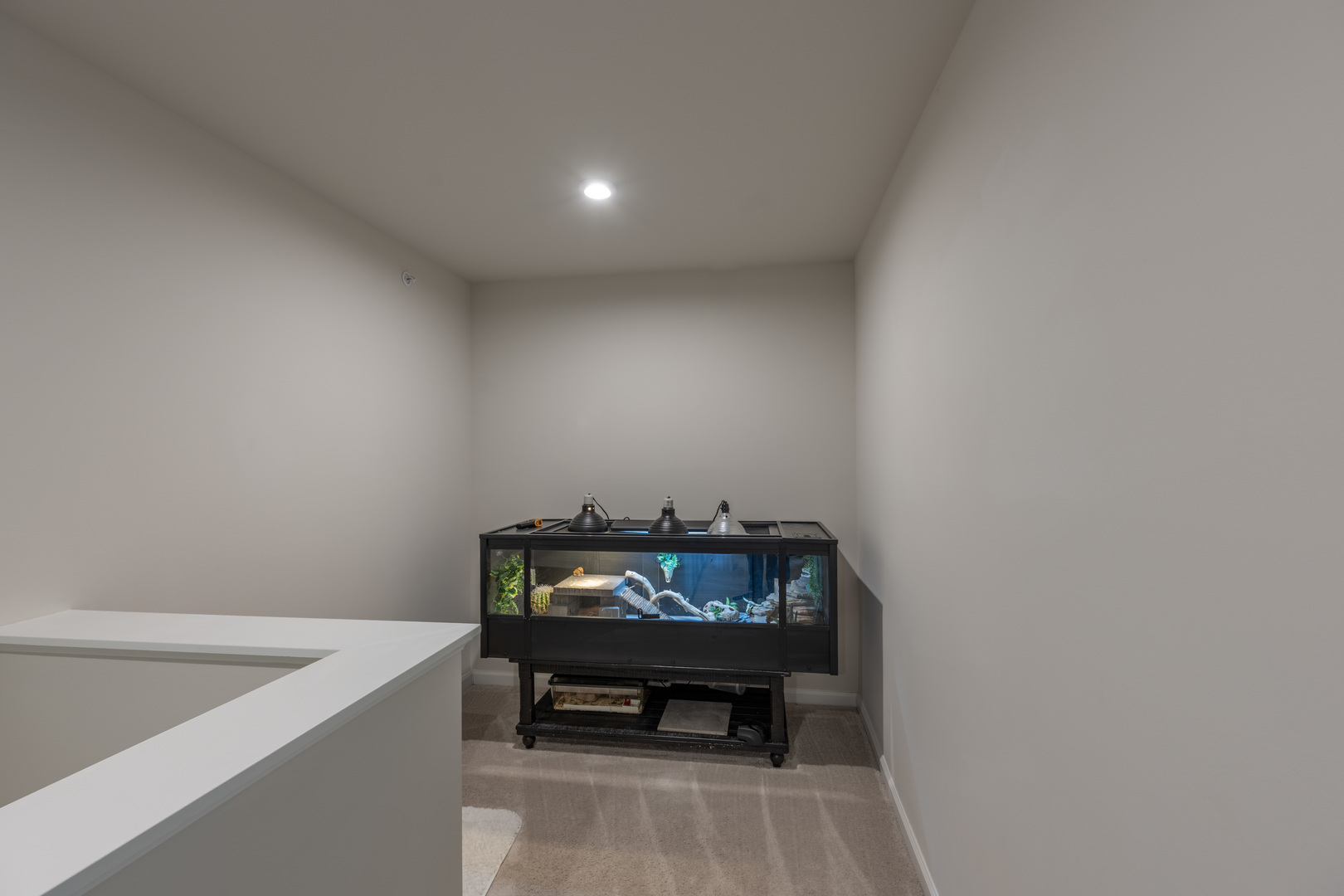 3363 Helene Rieder Drive, Montgomery, IL 60538