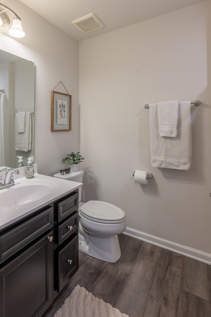 3363 Helene Rieder Drive, Montgomery, IL 60538