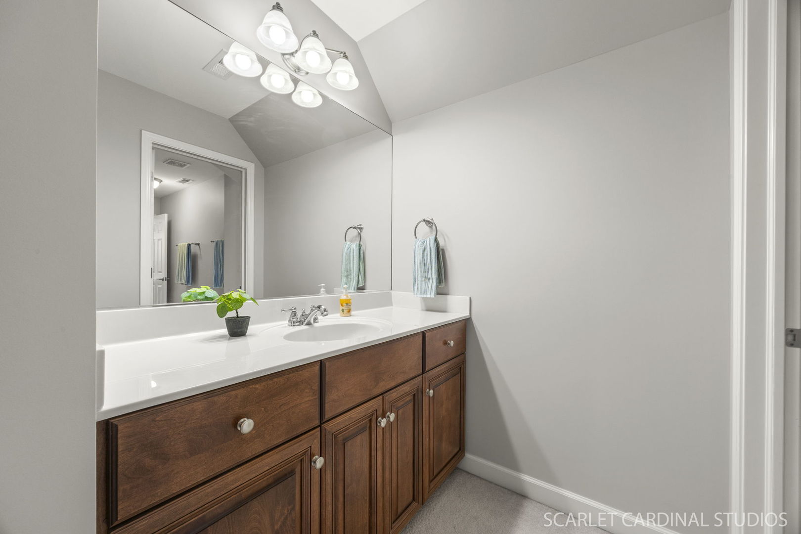 1017 Tartan Court, Wheaton, IL 60187