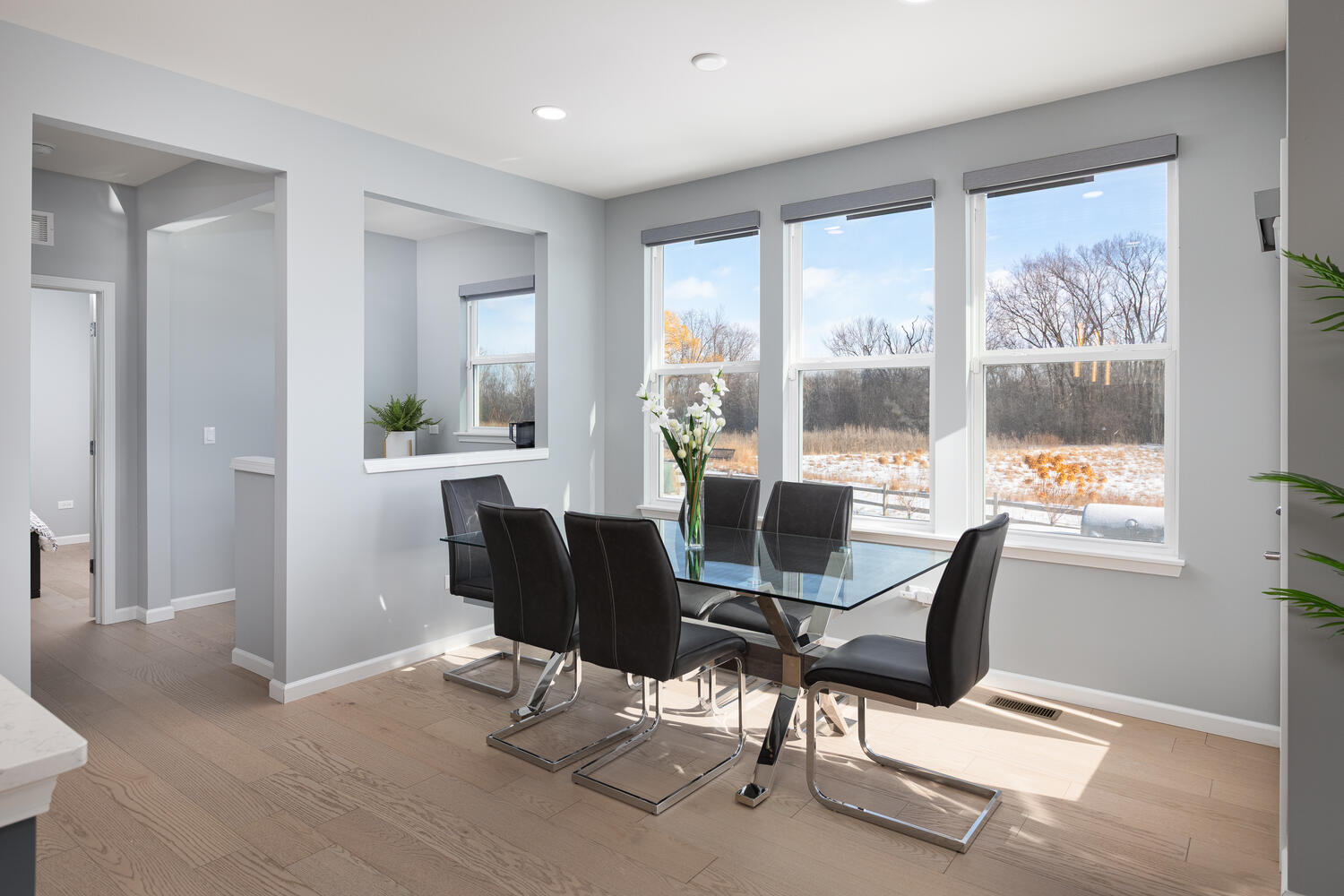 1127 Hibbard Road, Naperville, IL 60563