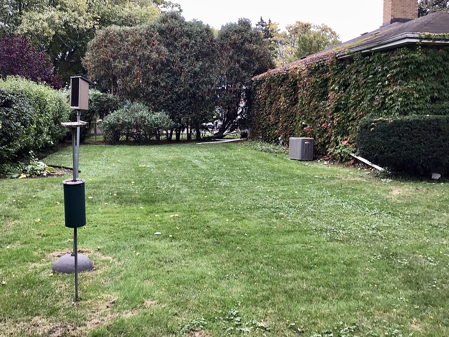 9532 Springfield Avenue, Evanston, IL 60203