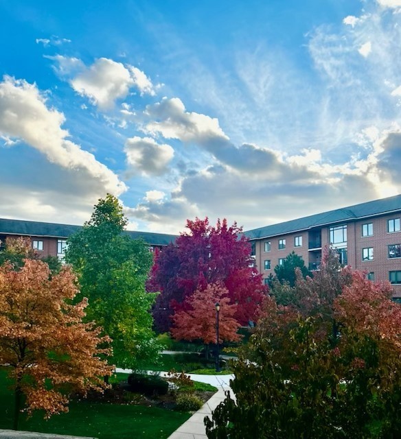 875 E 22nd Street #204, Lombard, IL 60148