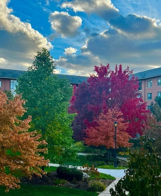 875 E 22nd Street #204, Lombard, IL 60148