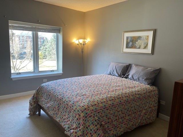 875 E 22nd Street #204, Lombard, IL 60148