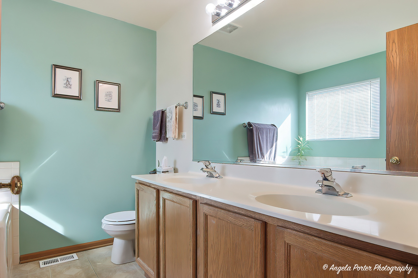 1949 W Windsor Drive, Round Lake, IL 60073