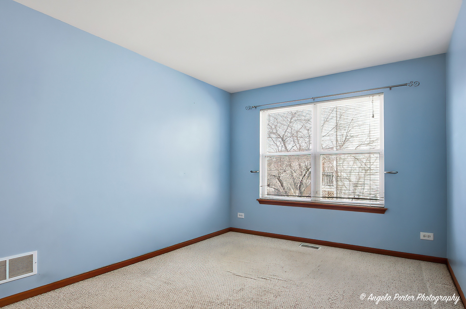 1949 W Windsor Drive, Round Lake, IL 60073