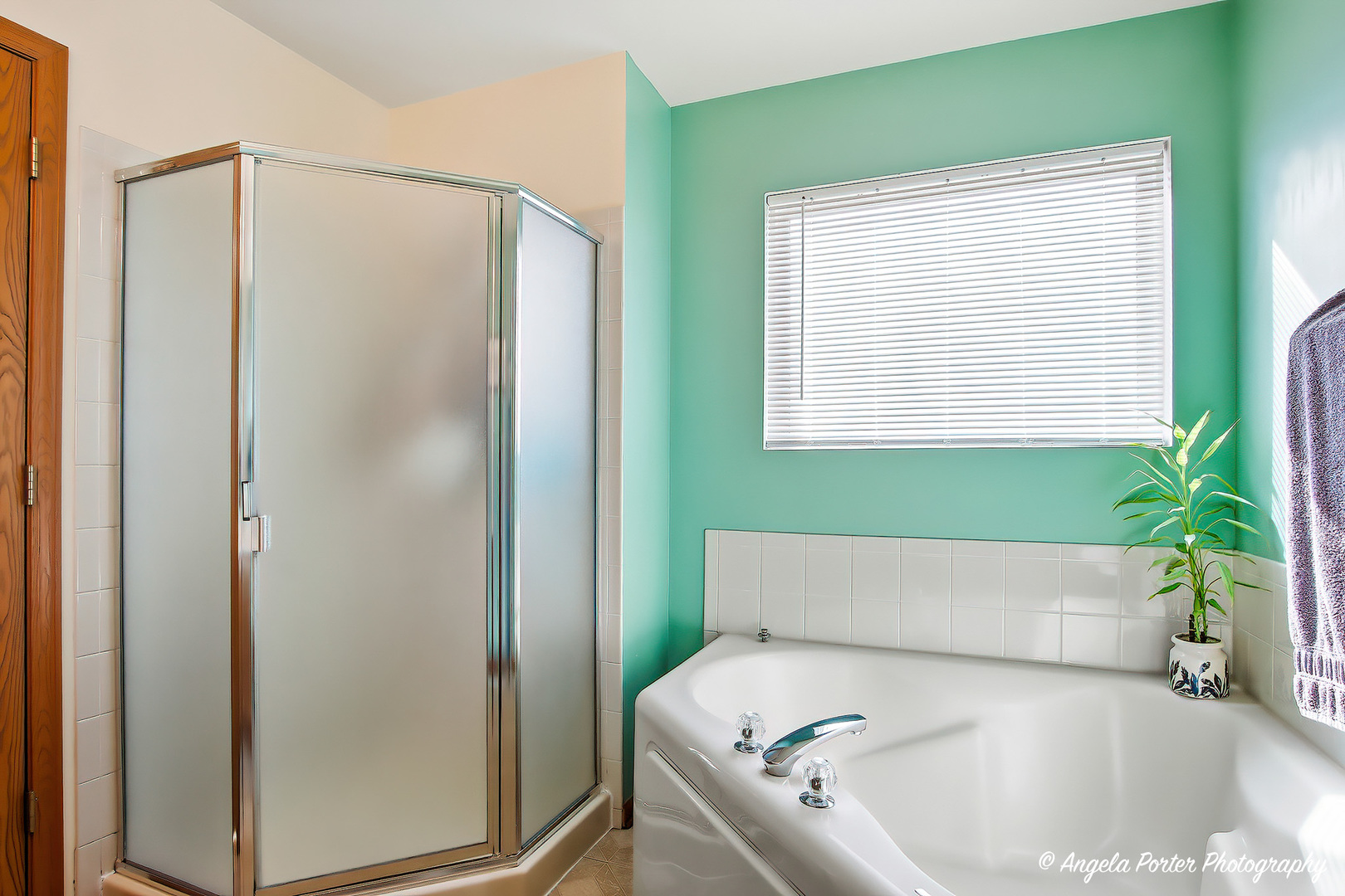 1949 W Windsor Drive, Round Lake, IL 60073