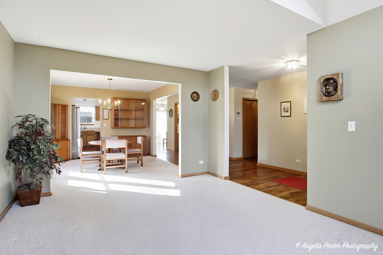 1949 W Windsor Drive, Round Lake, IL 60073