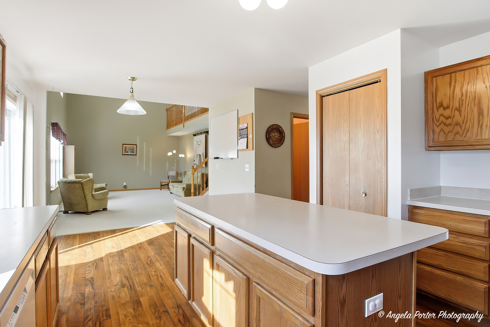 1949 W Windsor Drive, Round Lake, IL 60073