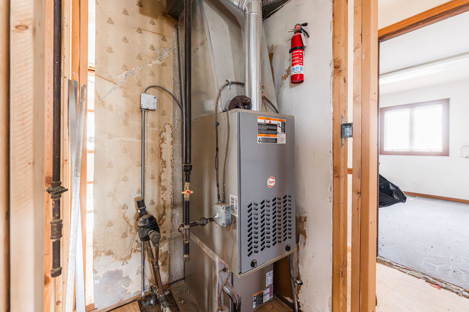 205 Pinecroft Drive, Roselle, IL 60172