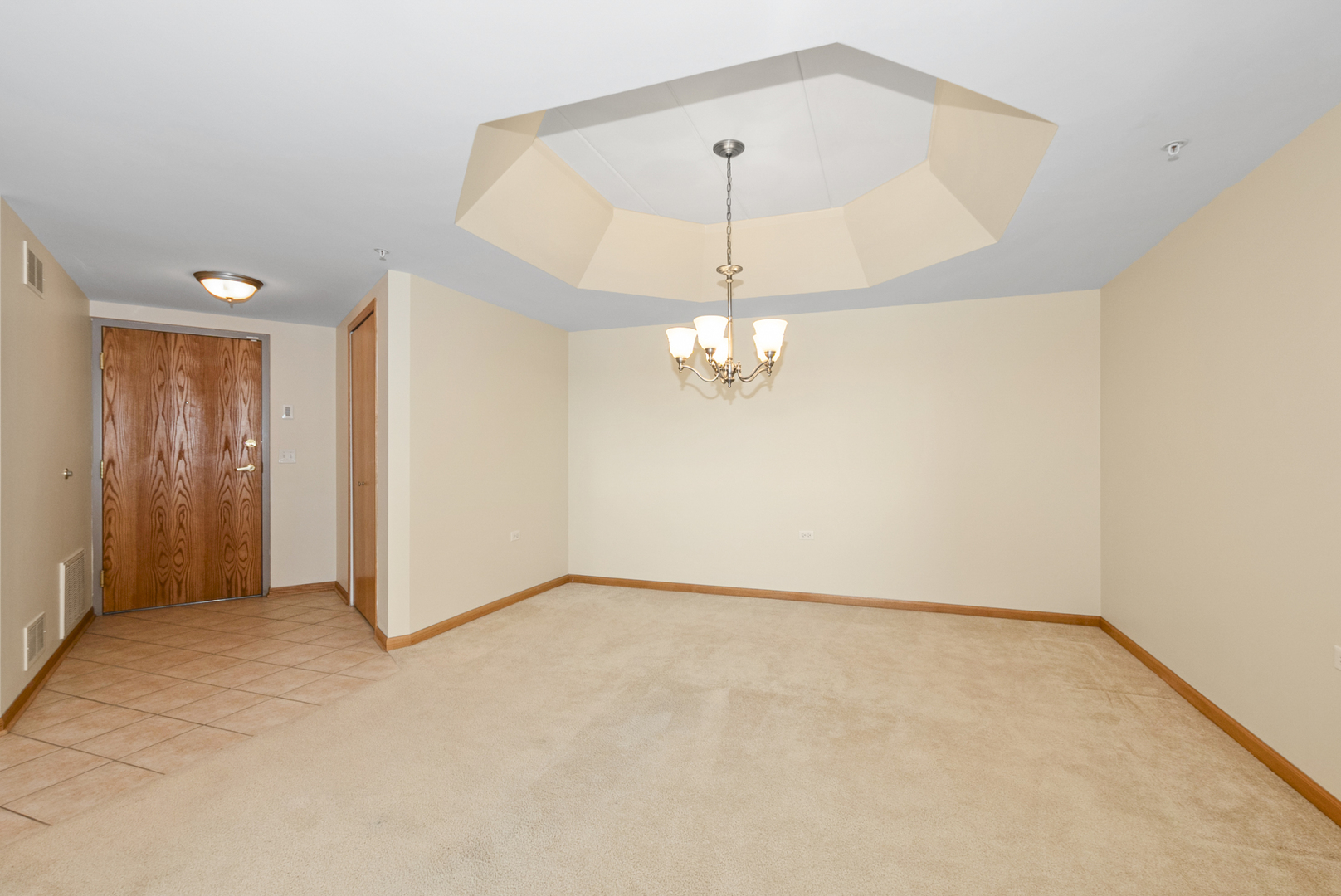 14130 Sheffield Drive #202, Homer Glen, IL 60491