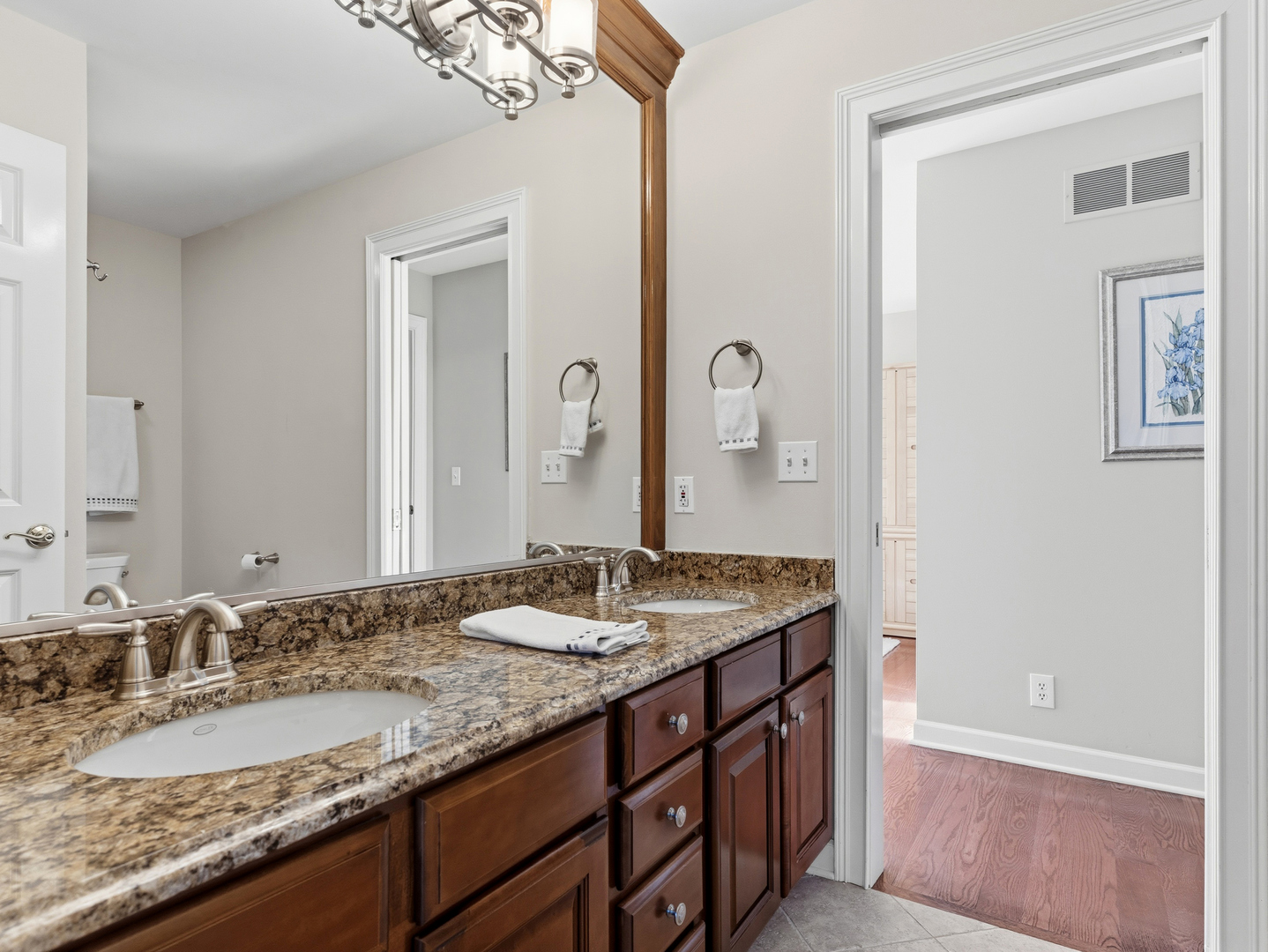 2363 Fawn Lake Circle, Naperville, IL 60564