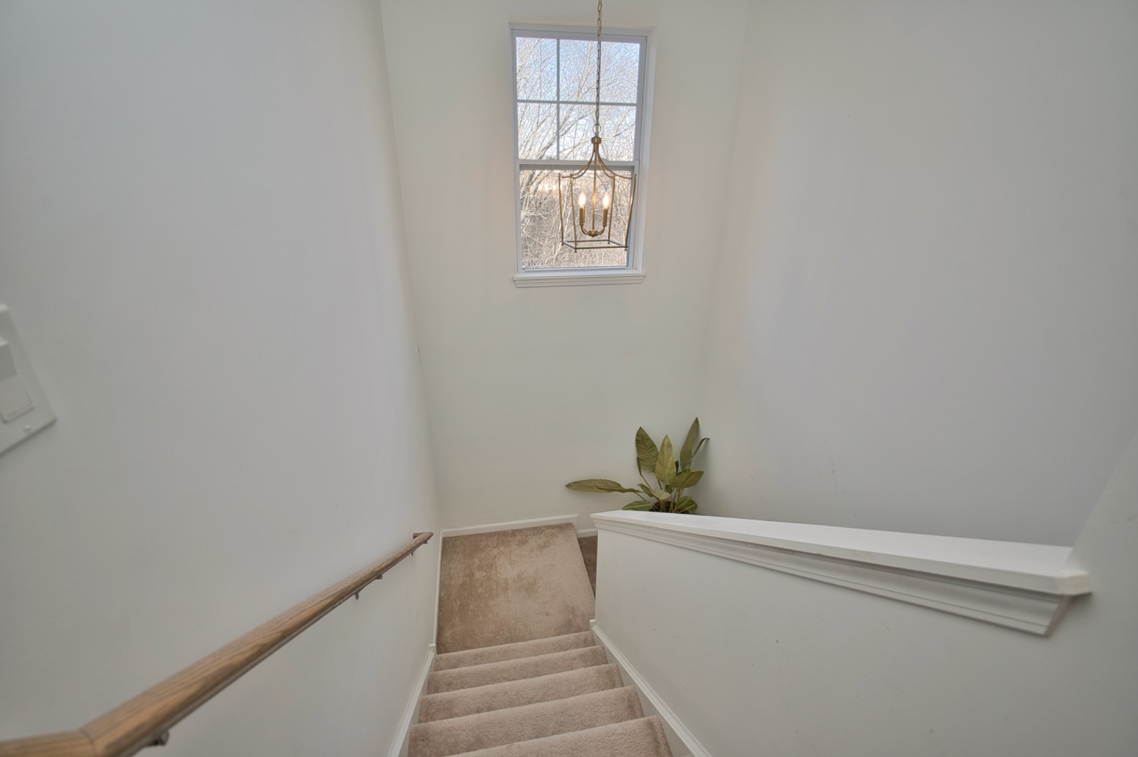 30W024 Brayman Court, Warrenville, IL 60563